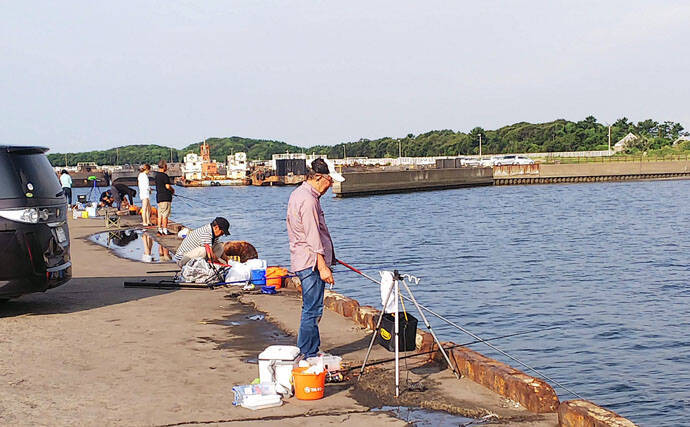 千葉県 車を横付けして釣りができるスポット選釣り場検索サイトFISH ON