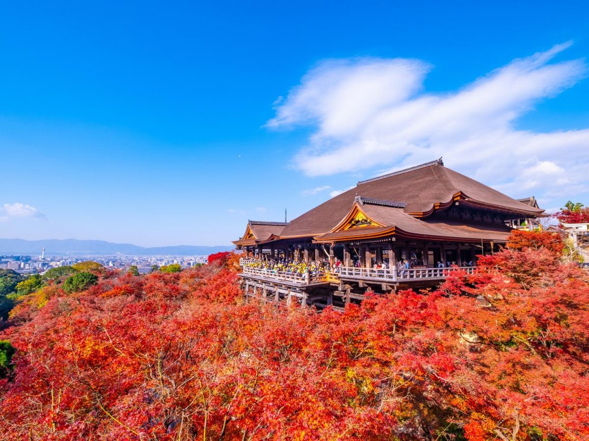 関西 紅葉絶景ドライブコース9選！日帰り旅行やデートにもおすすめ＜2023＞ 2- じゃらんnet