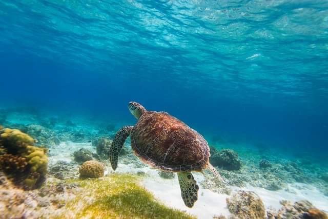 フィリピンの人気観光スポット18選。一度は行きたい絶景の旅海外旅行の予約ならエアトリ