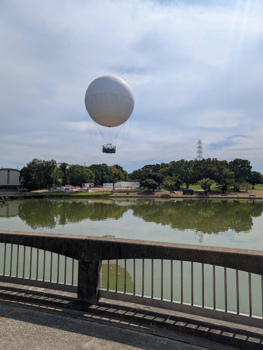 ナンバープレートの種類と色の違いは？車買取・中古車査定ならナビクル