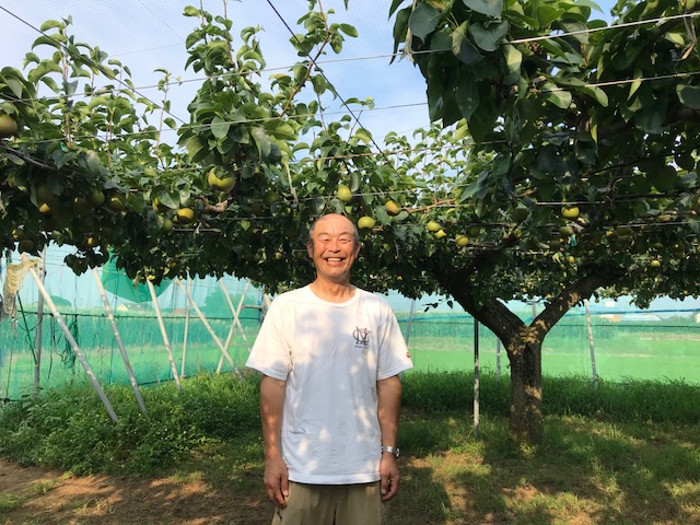 2023年7月8月9月に平塚市内で開店閉店したお店15選