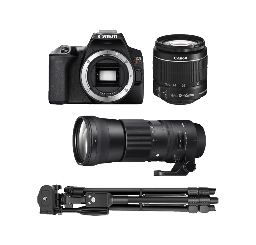 20選 ビデオカメラレンタルでおすすめの会社比較ランキング！4Kや三脚付きも！ - 株式会社スペクトル