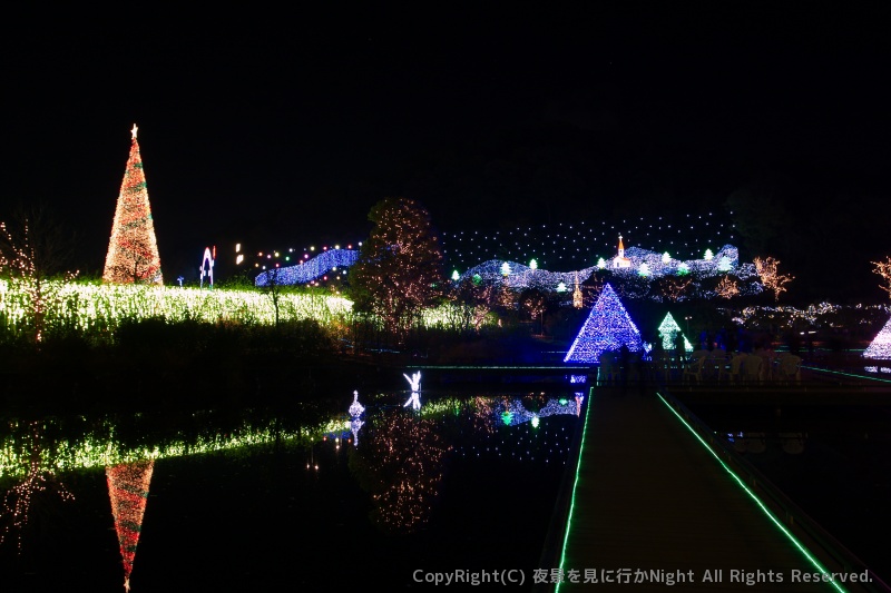 足利フラワーパークイルミネーション いつから？見どころや点灯時間、宿泊まとめ！口コミも必見」 -