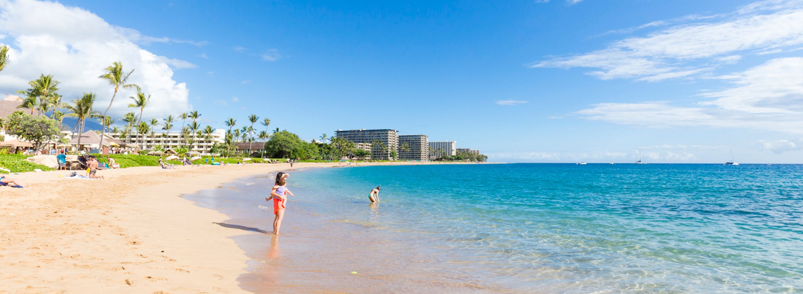カアナパリ ビーチ ホテルKAANAPALI BEACH HOTEL宿泊予約