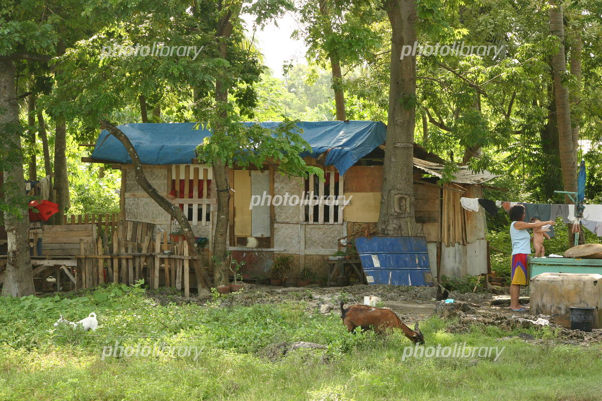 フィリピンにある木の下の家 写真素材49061- フォトライブラリ