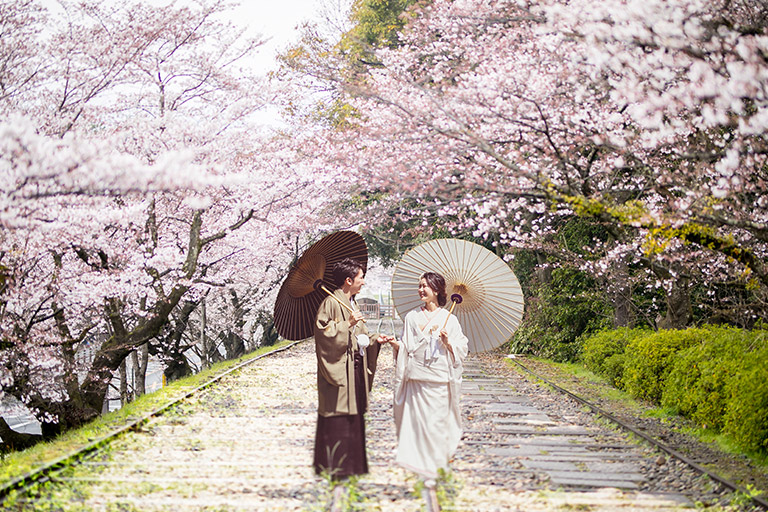 満開の桜の成人式前撮りプラン - 京都ロケーションフォト・スタジオ撮影夢館