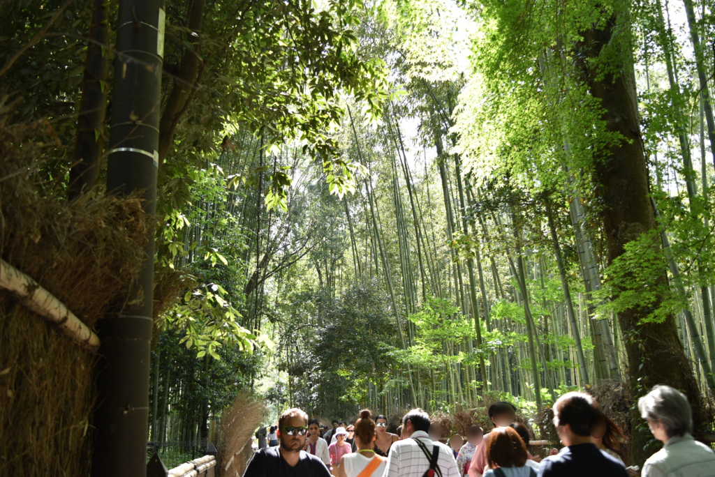 嵐山 食べ歩き グルメ 24選！おすすめガイド 2025年最新版