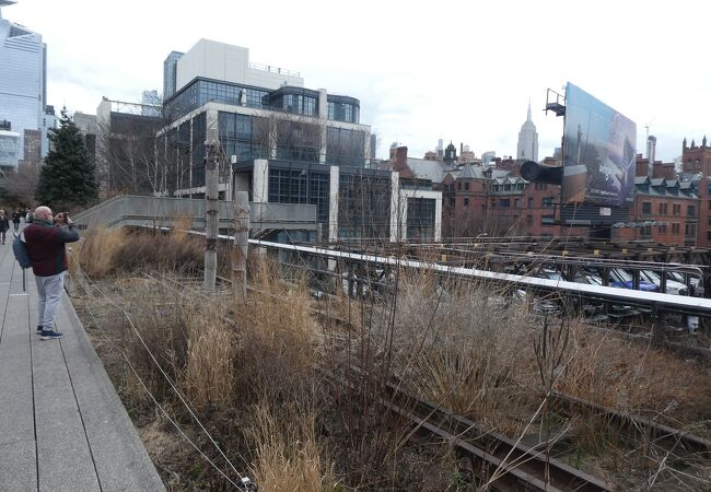 ニューヨークハイラインパークウォーキングツアー 2025 - ニューヨーク市