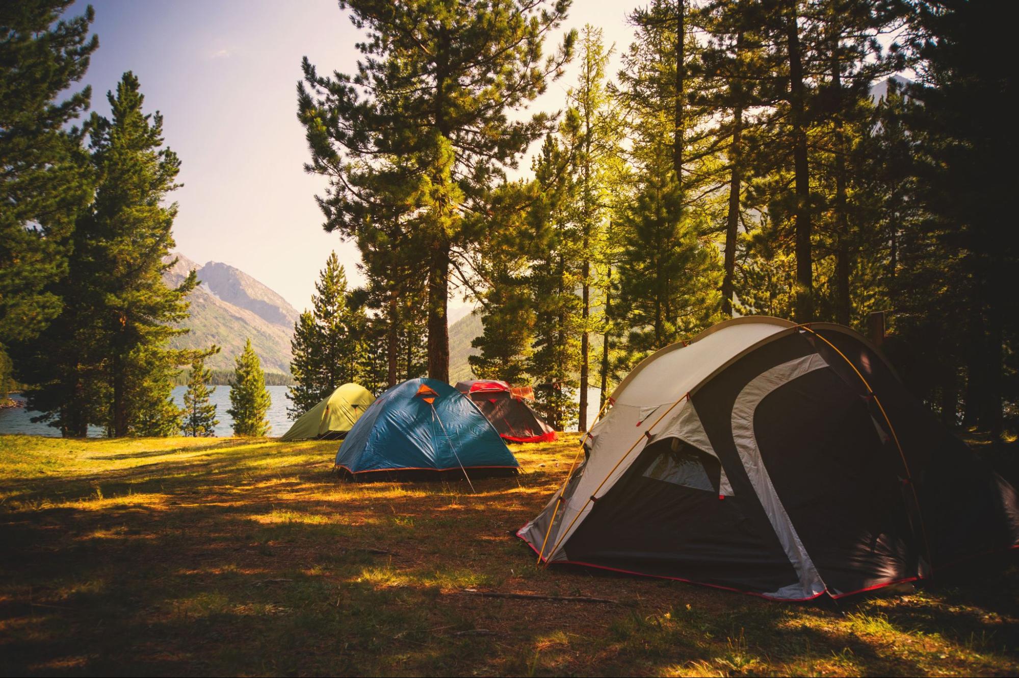 埼玉のキャンプ場ならここがおすすめ！穴場スポットを一挙紹介！横浜のキャンピングカーレンタル・EAST WOOD CAMP