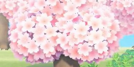 あつ森 南半球10月桜シーズン到来！桜レシピのコンプ。ハロウィンと同時開催で妙な感じ精神ぷらりたび