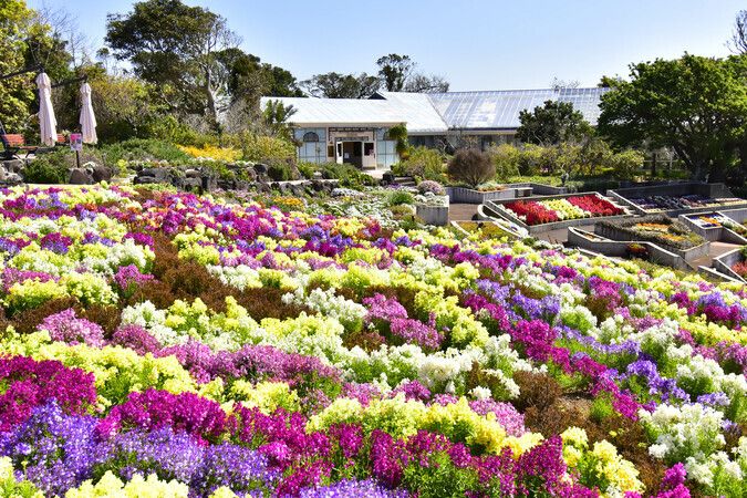 ニューヨーク植物園 NYBGチケット、ツアーなどを予約
