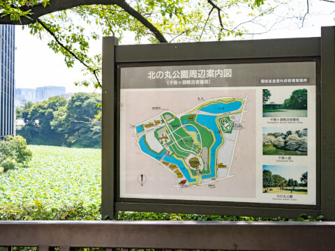 おすすめ！ 九段下駅周辺の酒屋・ワインショップ5選 - theDANN