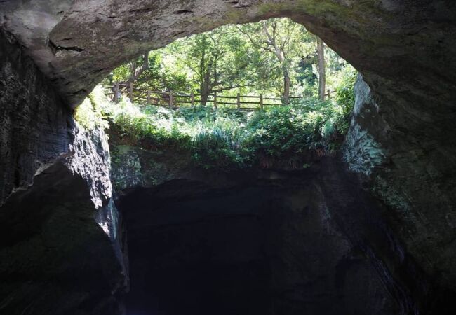 運航コース・時刻表西伊豆・堂ヶ島「洞くつめぐり遊覧船」－伊豆遊覧船、堂ヶ島マリン