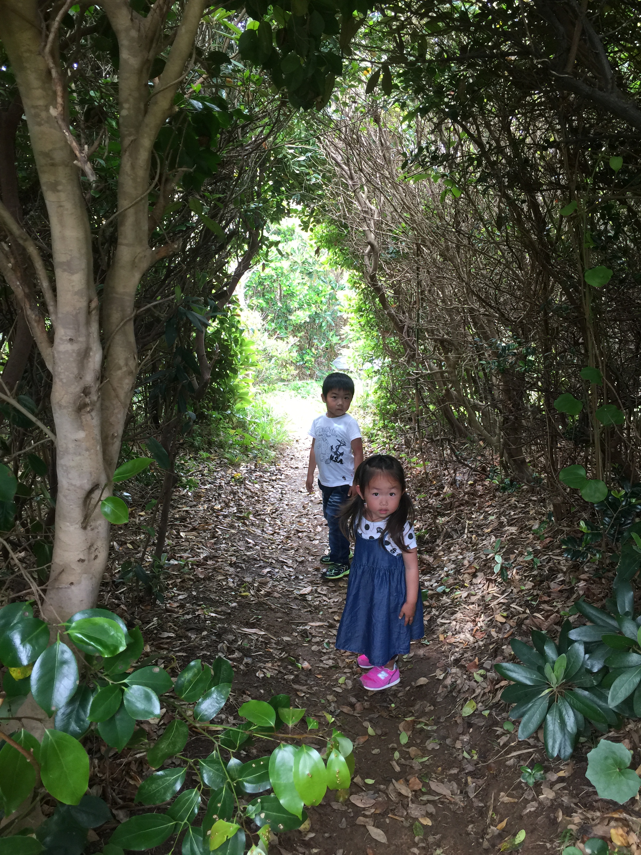 芥屋の大門つなぐ糸島糸島観光サイト produced by