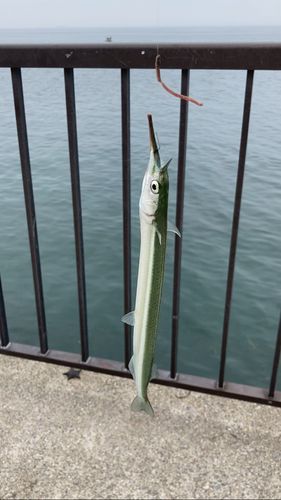 吉良サンライズパークの新着記事アメーバブログ アメブロ