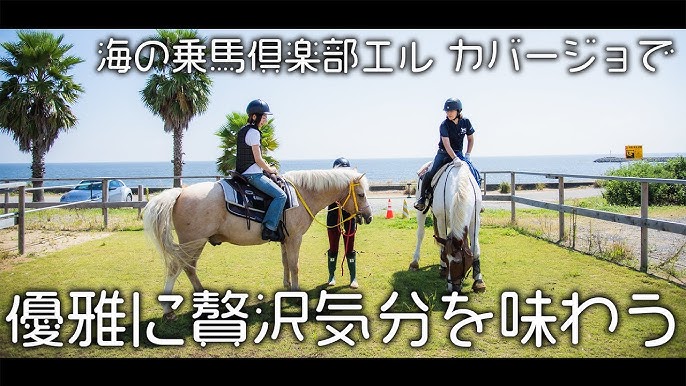 El Caballo 海の乗馬倶楽部 エル カバージョ
