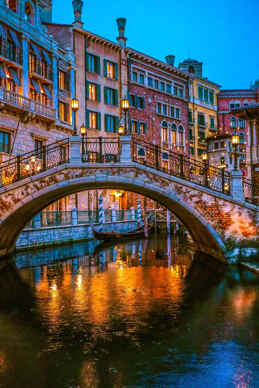 ディズニーシーの夜景 : Colors