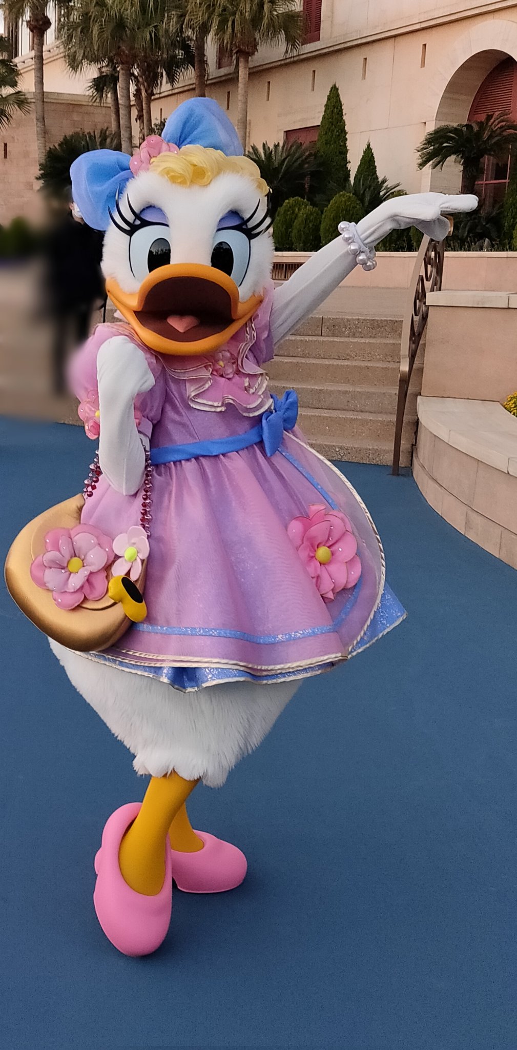 つっちー＠Dあか on X: 