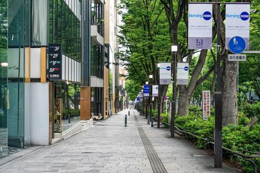 東京・青山通り 江戸の街道がルーツ?皇居から赤坂へ!大名屋敷NHK