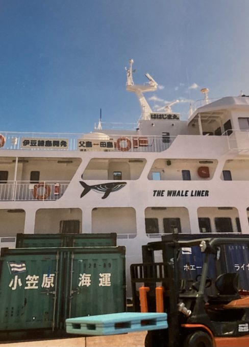 2025年 コペペ海岸 -