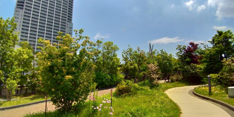 １５５７ 空中庭園「おおはし里の杜」を一般公開 ２０２３年３月２３日＝雨天中止 -