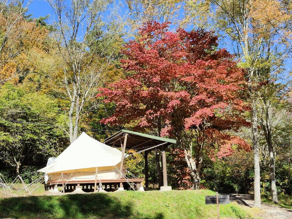 銀河もみじキャンプ場 日本一キレイな星空を見ながらキャンプできる！BAMBI CAMP