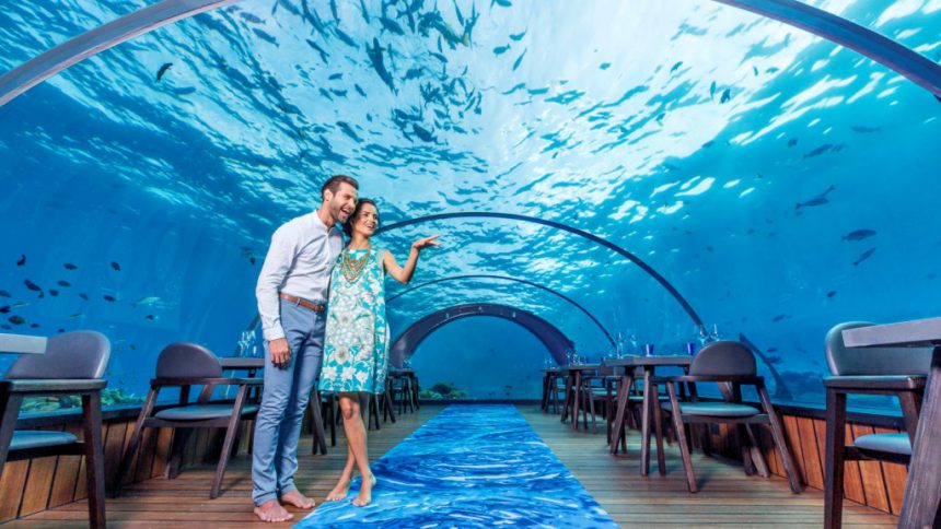 気分は魚？ モルディブの水中ホテル＆レストランが映えすぎな件