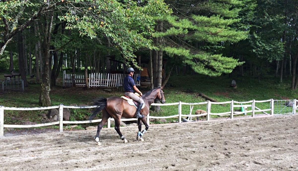 八ヶ岳の登山口 蓼科牧場 白樺高原