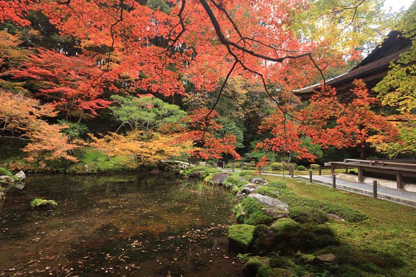 年末年始の海外旅行におすすめ！穴場のポカポカ南国リゾート10選 - Tripa