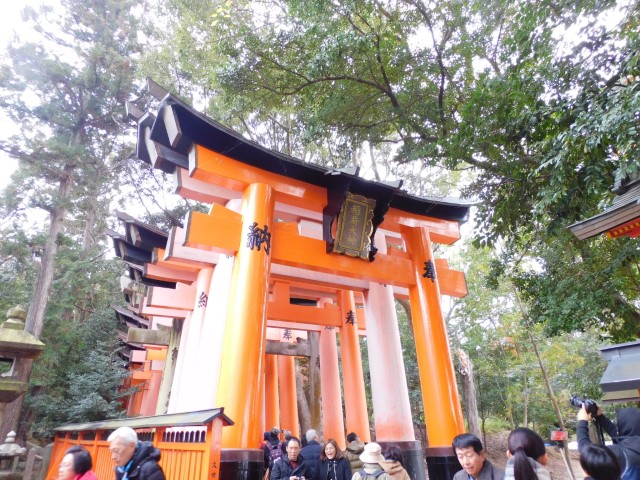 撮影スポット 〜京都・伏見稲荷大社〜 - 関西カメラ女子部