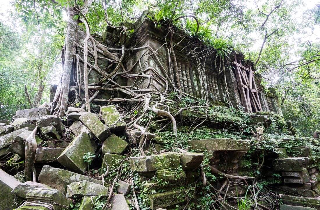 ベンメリア遺跡の行き方や服装まとめレビュー。廃墟好きにオススメ！ゴコアライフ - GOCOA LIFE