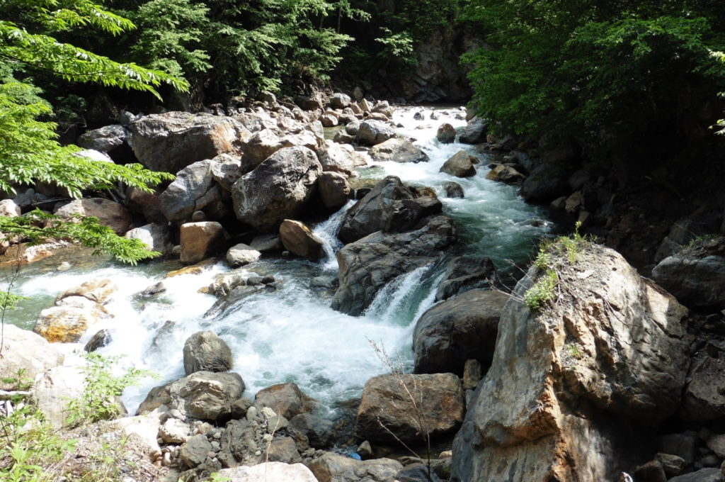上高地鮎毛バリ釣り青ライオン- 楽天ブログ