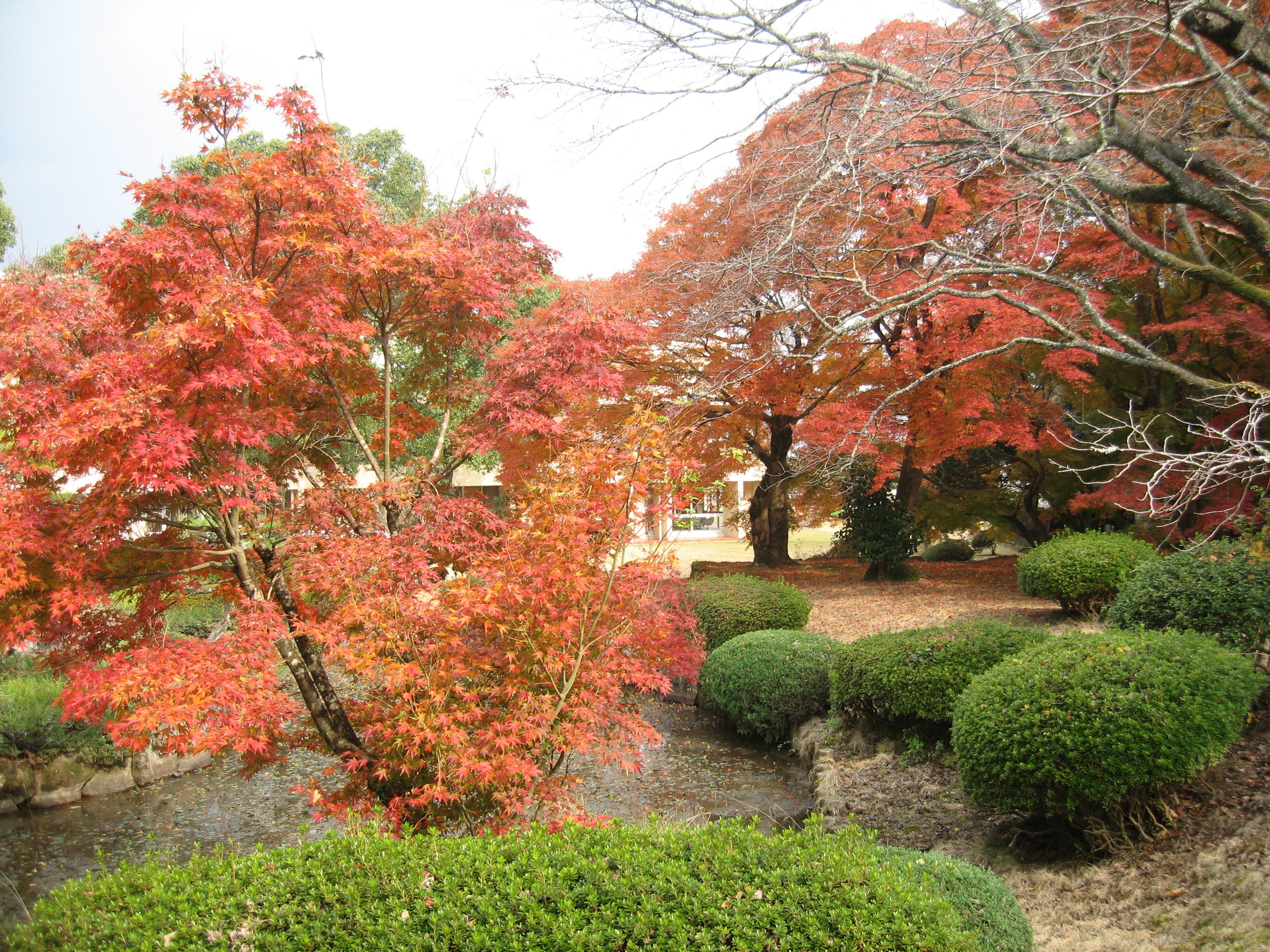 武雄市文化会館大ホール廃止方針が波紋 市議会傍聴席、再考求める市民で満席行政・社会佐賀県のニュース佐賀新聞