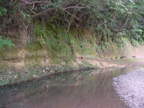 渋沢から葛葉の泉へ歩く 秦野散策- 散歩の途中