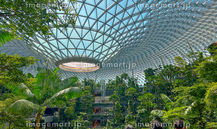 シンガポールチャンギ空港の新複合施設「Jewel」 ジュエル超完全ガイド！あじあ