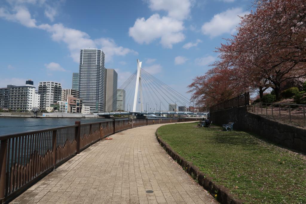 隅田川沿いスカイツリー眺望 -東京都 の詳細情報ことりっぷ