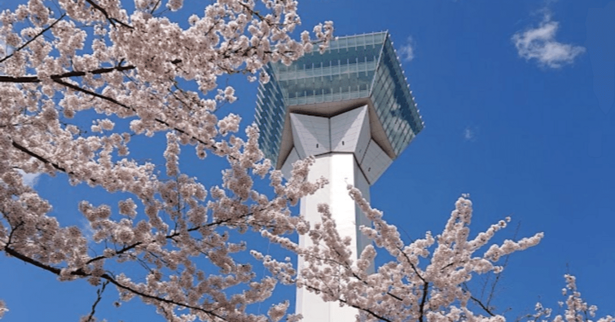 桜、台 五稜郭公園の桜まつり2024見ごろは？ライトアップや屋台、桜