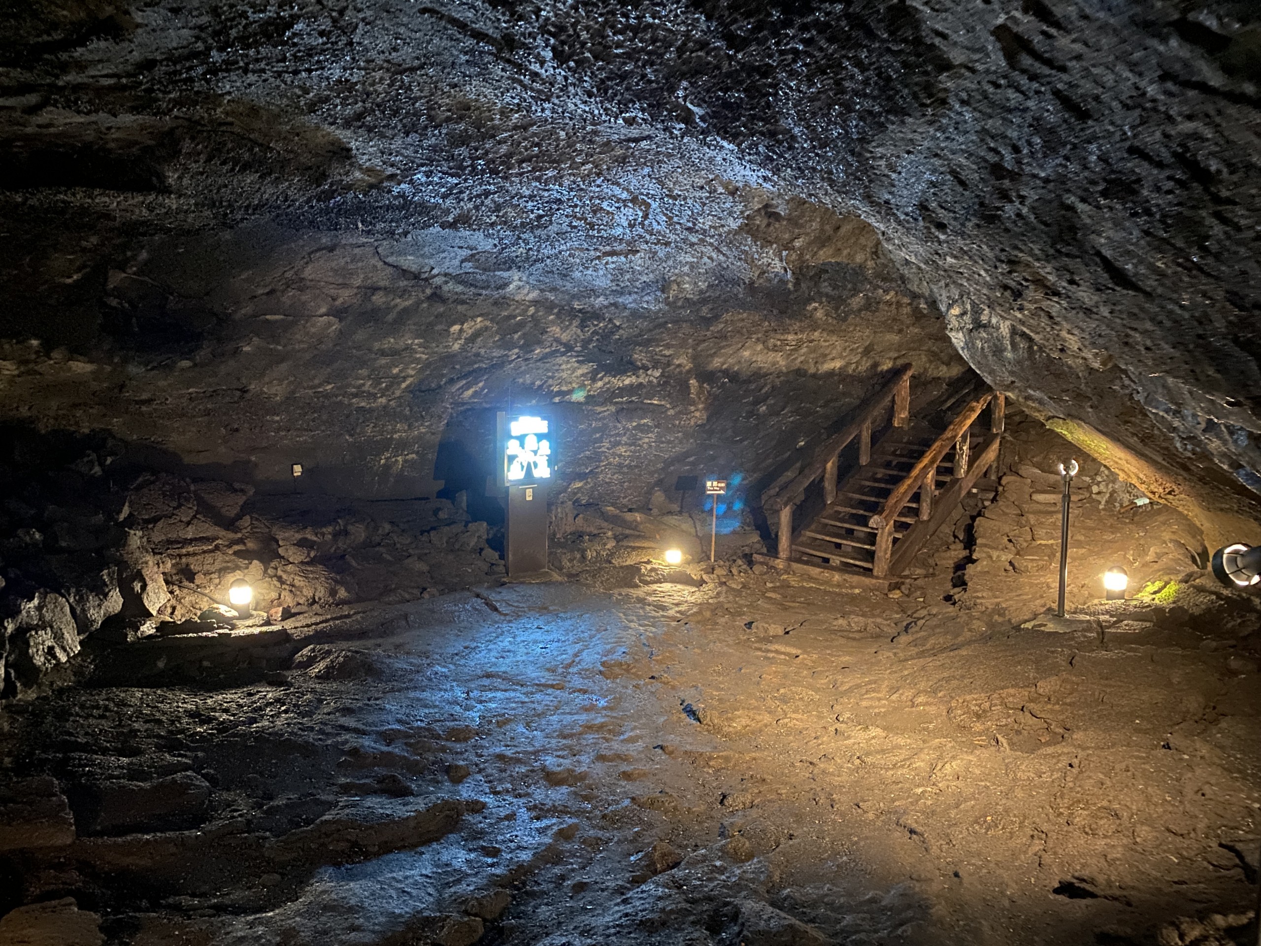 西湖コウモリ穴子連れのおでかけ・子どもの遊び場探しならコモリブ