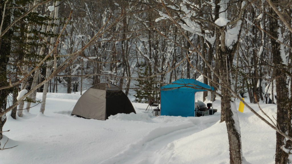 GW折り返し！本日も満員御礼ありがとうございます🙏✨ 新緑のキャンプサイトいい雰囲気です🌿クオーレふれあいの里美濃白川クオーレの里キャンプ場岐阜県白川町通年キャンプ場オートキャンプ春キャンプ新緑の季節ファミリーキャンプソロキャンプ