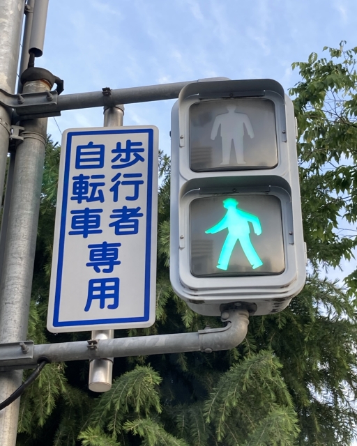 Amazon.co.jp: 自転車および歩行者用信号機 本物、交差点のLED交通 信号ライト、PCハウジング防水IP53、インジケーターライト警告灯、交通灯、合図灯、ストップアンドゴーライト: