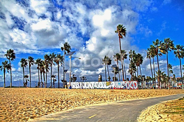 CALIFORNIA WAVE VOL.26 Venice