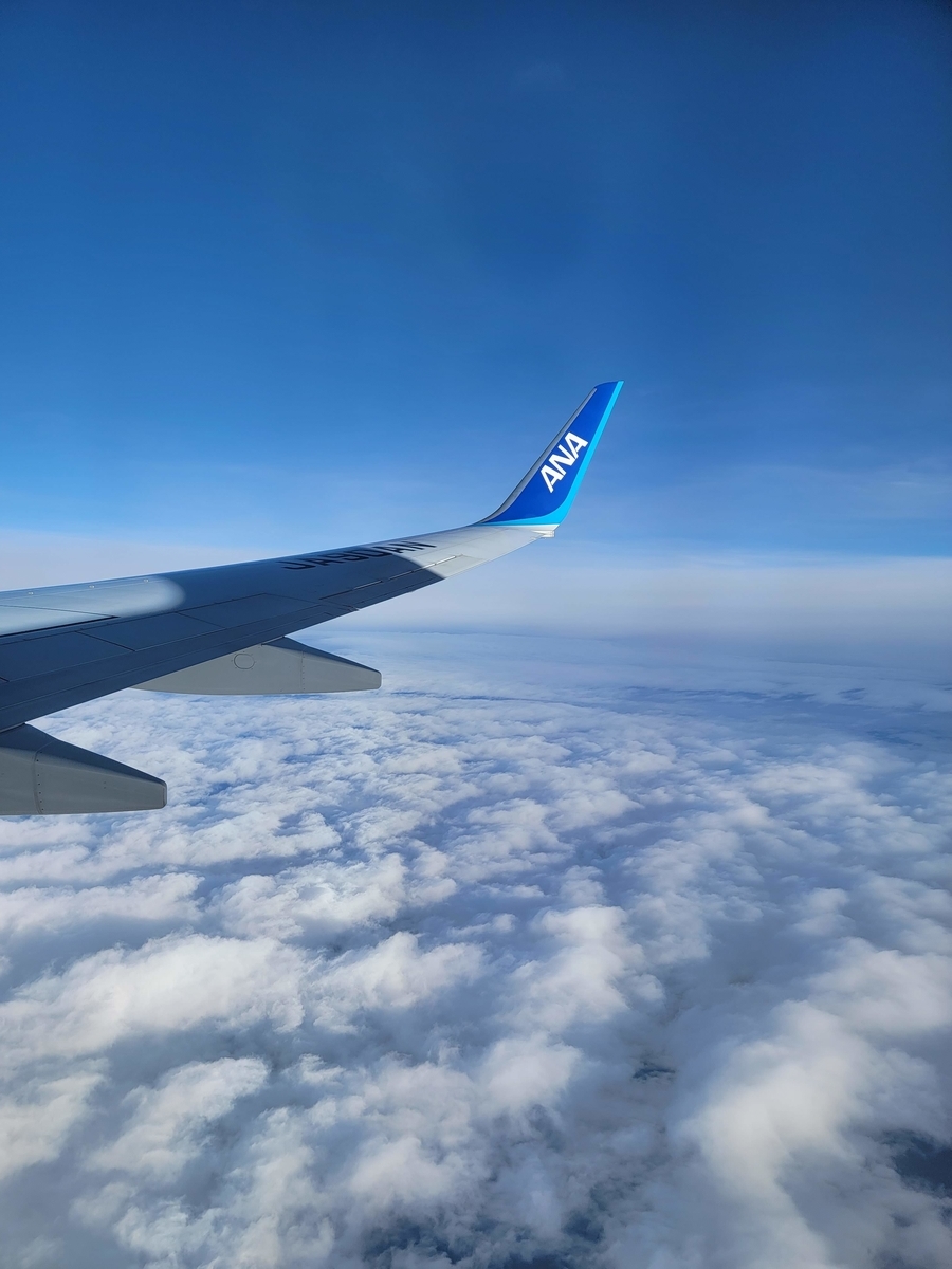 11,900点を超える飛行機内 女性のストックフォト、写真、そしてロイヤリティフリーの画像 - iStock