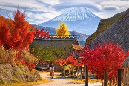 樹海の富士風穴と大室山のブナ林 森と渓谷コース やまなしハイキングコース100選