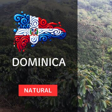 英虞湾サンセットクルーズプラン一覧MIEscape – 三重・伊勢志摩ならではの旅 みえすけーぷ