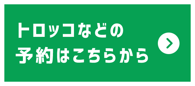 トミーテックN駅コレクション STA001 三江線宇都井駅 エキコレ
