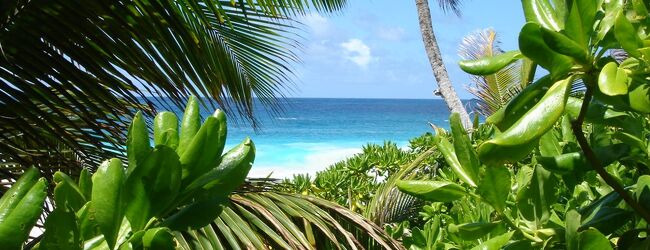 KIXから、世界のどこまでも。 地球上最後の楽園、セーシェルへFLY from KANSAI