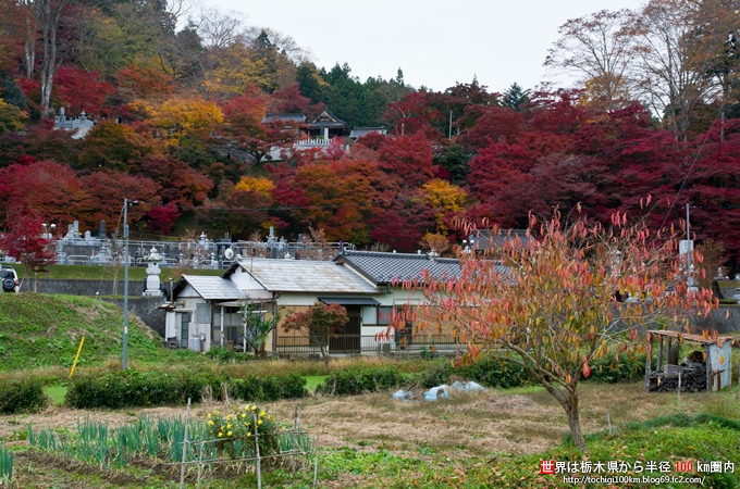 永源寺 久慈郡大子町 歴史・文化施設 お店情報茨城のお店・イベント・地域情報サイト いばナビ