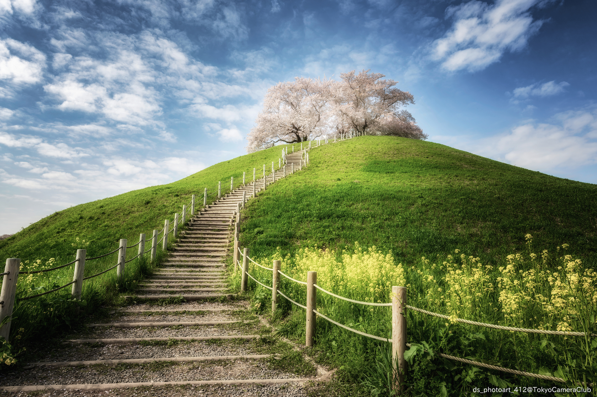 埼玉県のインスタ映えスポットTOP10！個性豊かなカフェや公園を紹介GOOPASS TRAVEL MAGAZINE