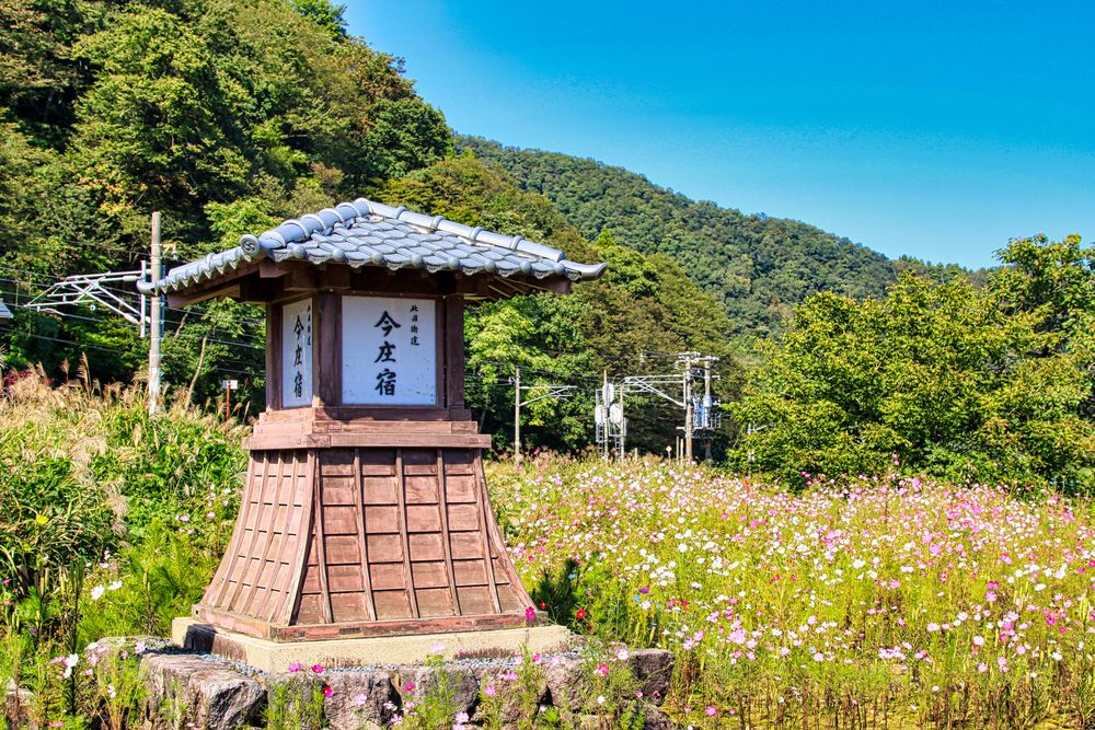 金ヶ崎城 の見どころやアクセス、木戸跡、堀切などを紹介！やっちんのお城ブログ