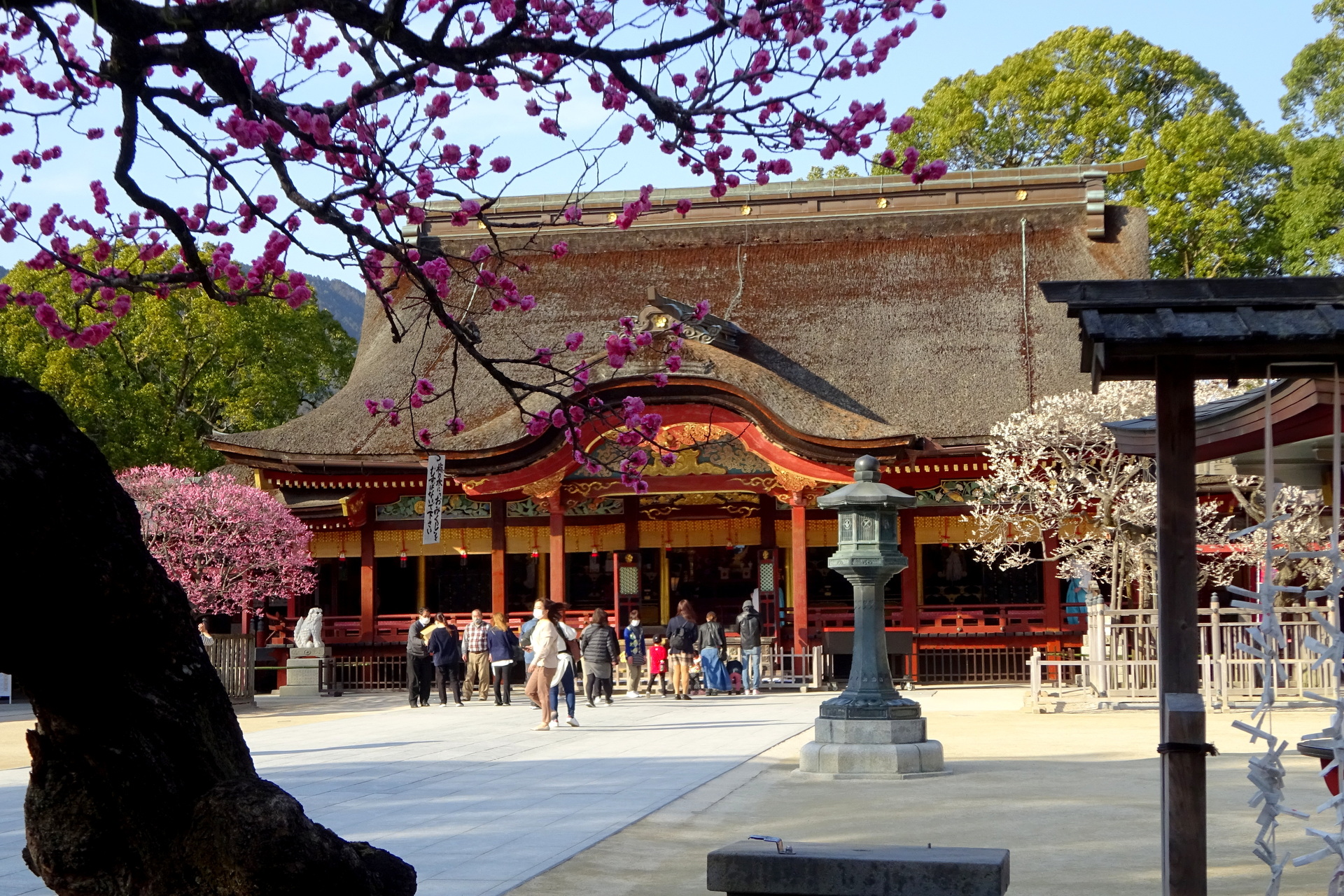 太宰府天満宮福岡・大宰府市 少人数挙式・家族婚なら家族挙式